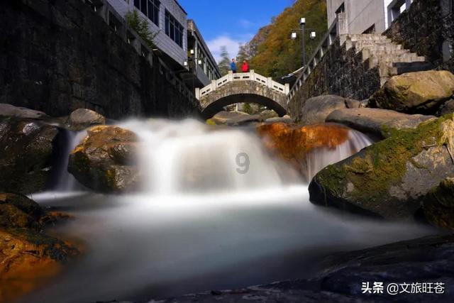 拯救科学家